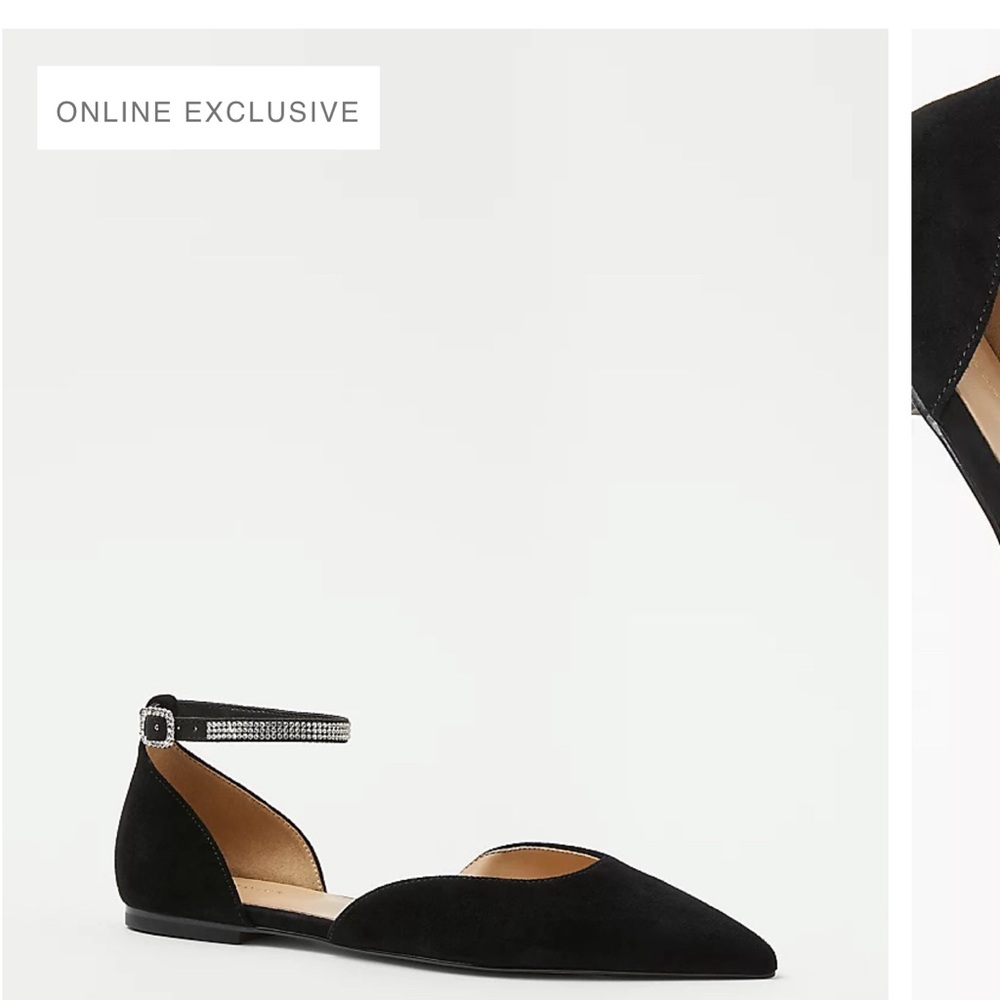Brand new⭐️never worn Ann Taylor Pointy Tow Suede ankle flats size 10